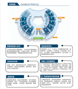 自2000年正在武汉初次